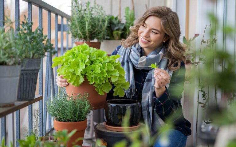 Liebstöckel (Maggi-Kraut): die Topfpflanze, die Brühwürfel ersetzt – wann man sie pflanzen sollte