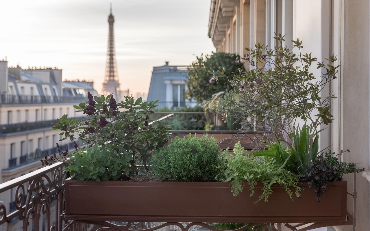 Miyawaki-Methode auf dem Balkon: Einen dichten, autonomen Miniwald ab 6 m² anlegen